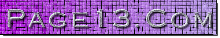 Page13.Com Logo